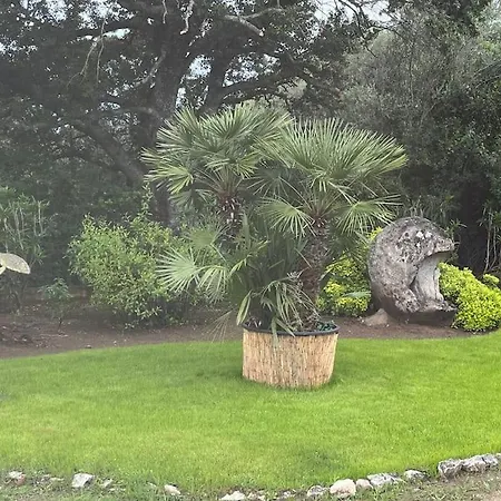 De 50m2 En Rez De Jardin - 3 étoiles